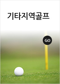 기타지역 골프